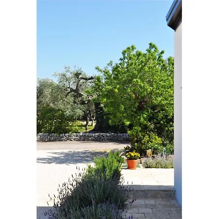 Casale Petrarolo مونوبولي